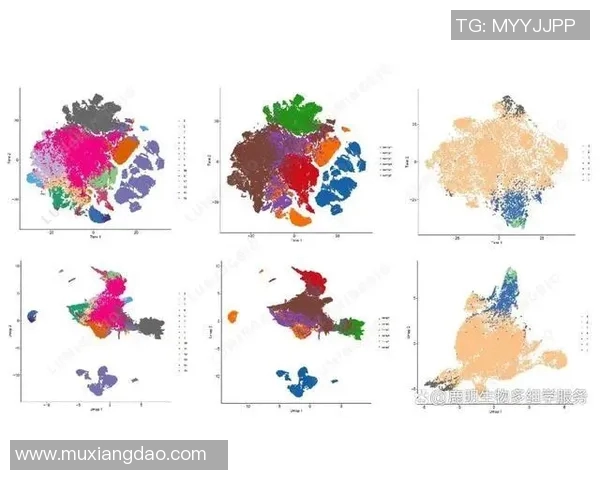 南京篮球队技术表现数据分析揭示球队优势与改进空间