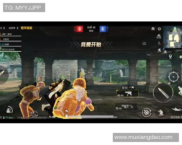 和平精英配合排名再创新高LNG团队实力引领赛场风潮