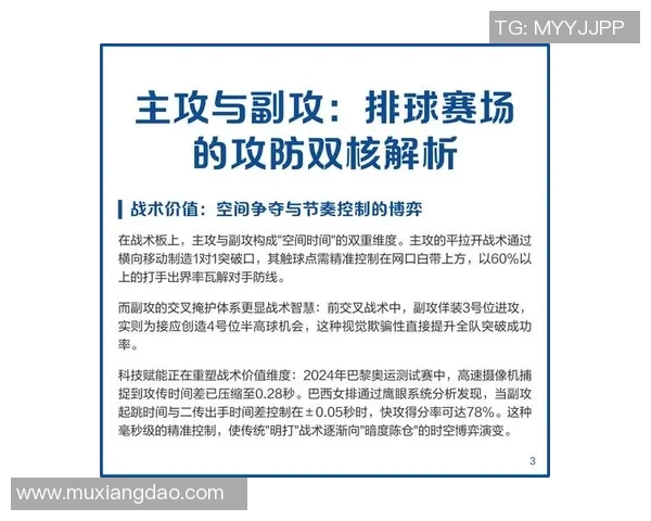 成都排球队反击体系解析：排球战术的创新与实践探索