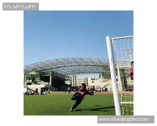 杨娜独家揭秘足球技巧与心得分享助你提升球技的秘诀