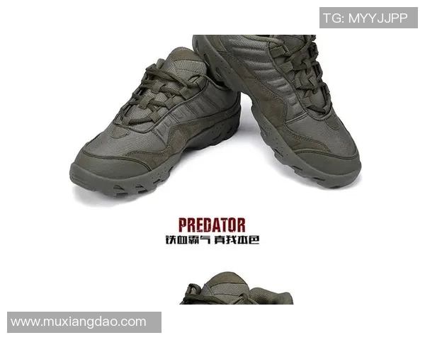 深圳攀岩队反击战术解析与实战应用探讨