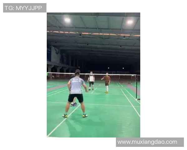 羽毛球的梦想与坚持：南京羽毛球队成长历程的真实记录与反思