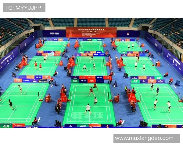 西安羽毛球队实力分析与发展潜力探讨聚焦羽毛球运动的未来之路