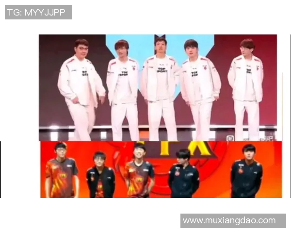 赛后复盘：TES与FPX在灵活性对决中的战术演变与启示