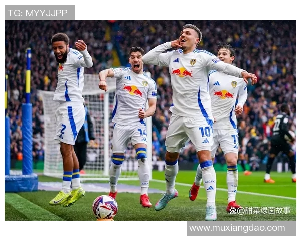 利兹联与埃弗顿对决前瞻分析及比赛结果预测 利兹联与埃弗顿对决前瞻分析及比赛结果预测