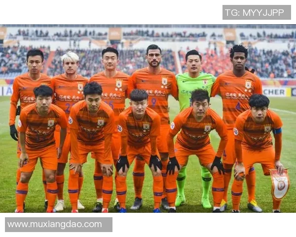 山东队与河内队全场精彩视频回顾及赛后分析