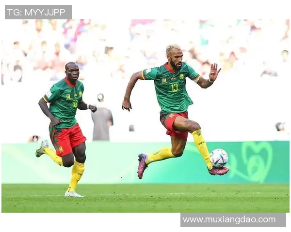 德国与喀麦隆比赛比分深度分析及战术解读