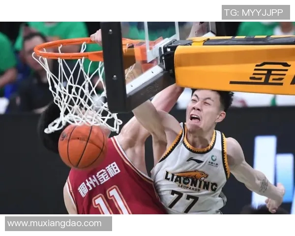 张镇麟在篮球赛场的崛起与未来发展潜力分析