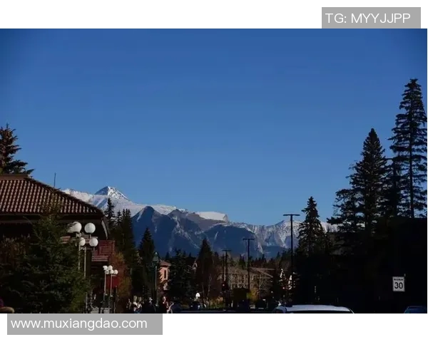 急流与温哥华数据分析对比研究揭示城市发展潜力与挑战