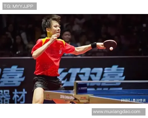林高远与张禹镇激战乒乓球赛场谁能笑到最后成就辉煌之路