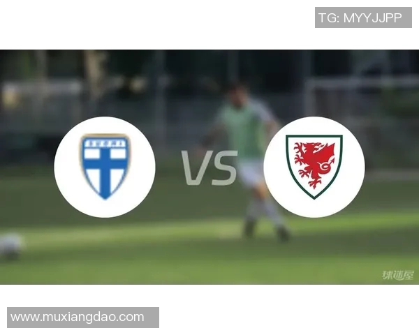 芬兰U19青年队迎战挪威队争夺欧洲足球锦标赛资格