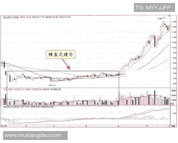 里昂主力阵容全面解析及其在比赛中的表现分析 里昂主力阵容全面解析及其在比赛中的表现分析