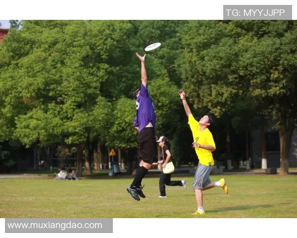 飞盘盛宴:深入了解上海飞盘队的训练与竞技状态 飞盘盛宴:深入了解上海飞盘队的训练与竞技状态