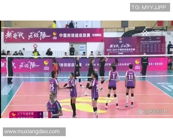 浙江队对决米纳斯队激情四溢的排球盛宴即将上演 浙江队对决米纳斯队激情四溢的排球盛宴即将上演